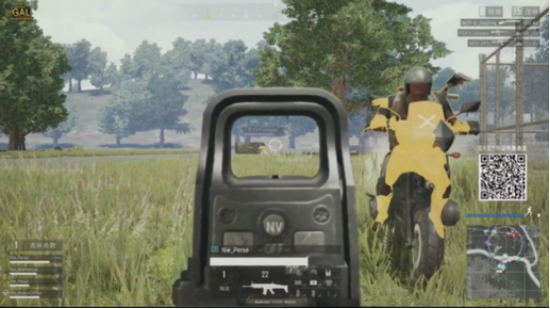 成为国内外 成为国内外