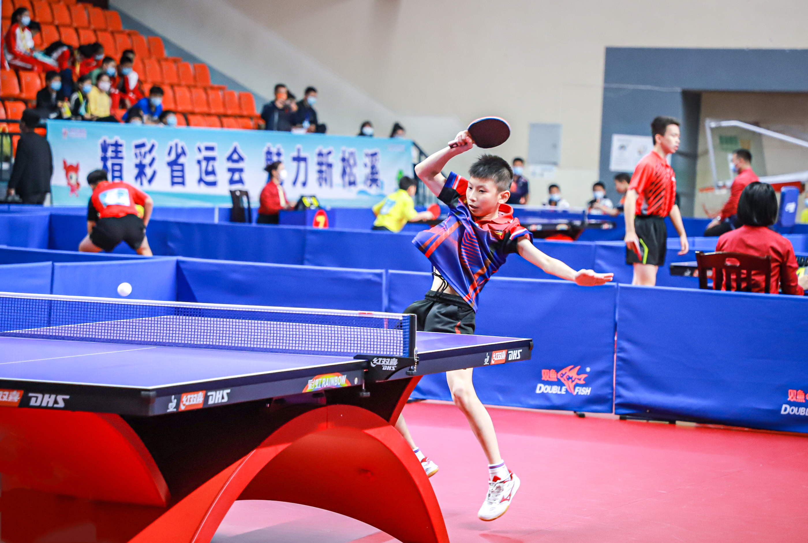 从巅峰到生 从巅峰到生