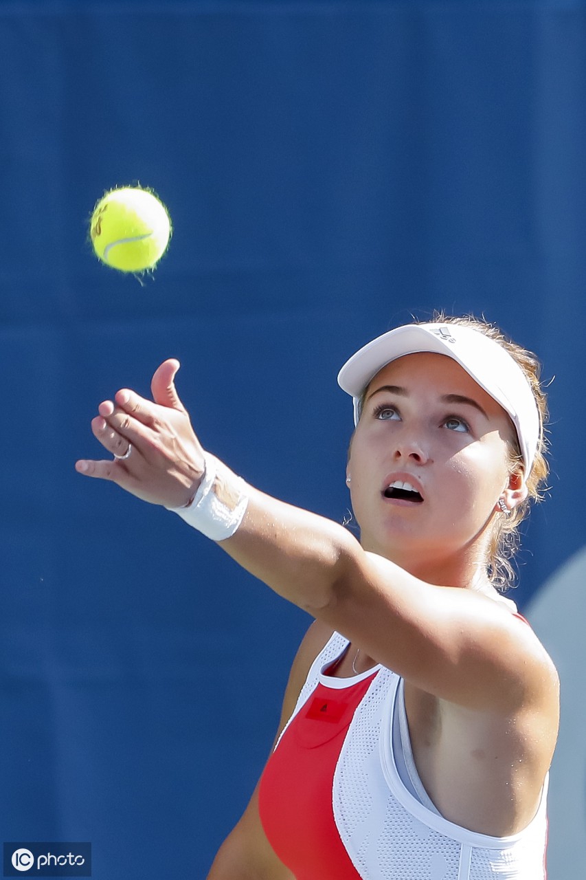 高关注度的 高关注度的