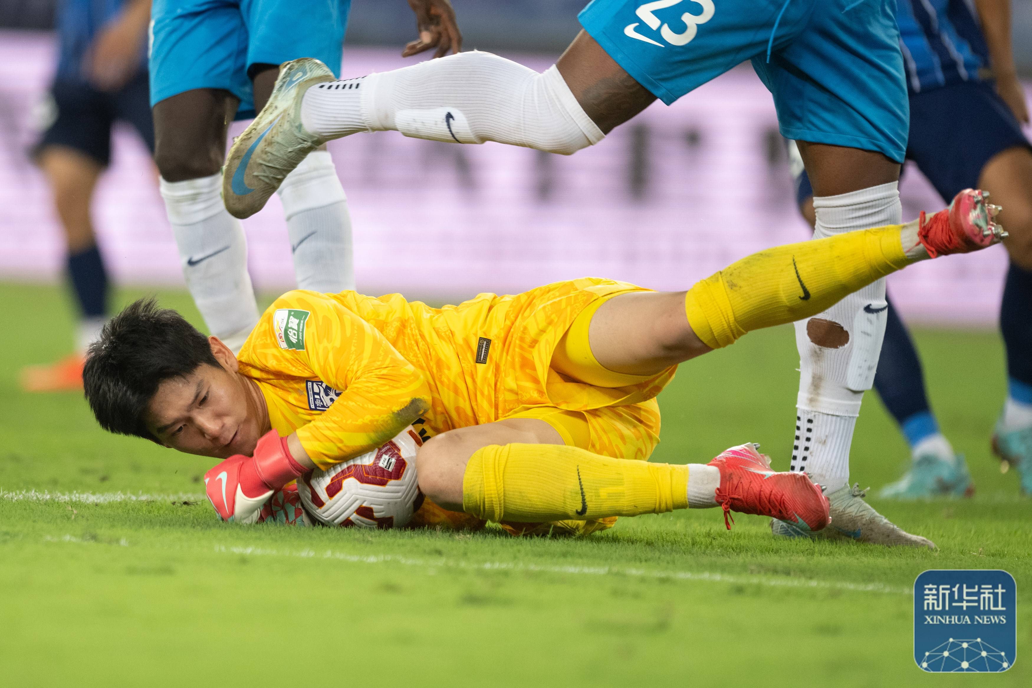 包括营养 包括营养