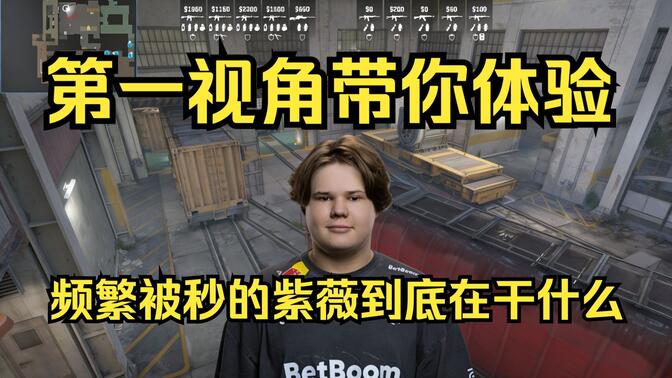 顺下掩护者
